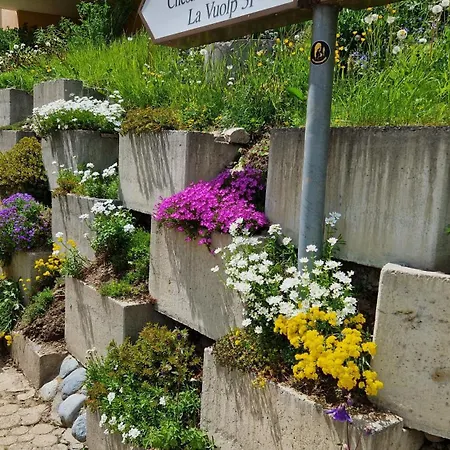 Chesa Bellaval, Haus Leivra 2-zimmerwohnung Lejlighed *